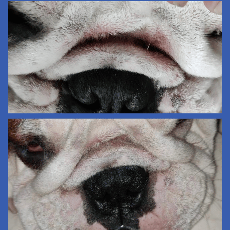 Wrinkle Wipes Before & After Close Up